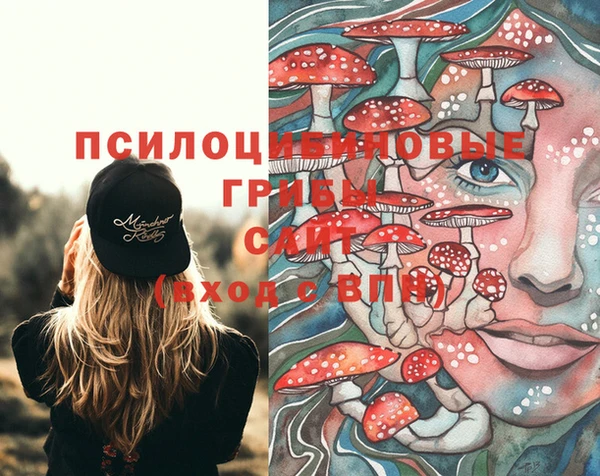 2c-b Магас