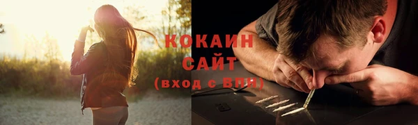 шишки Сосновоборск
