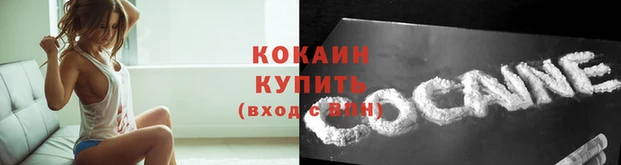 2c-b Магас