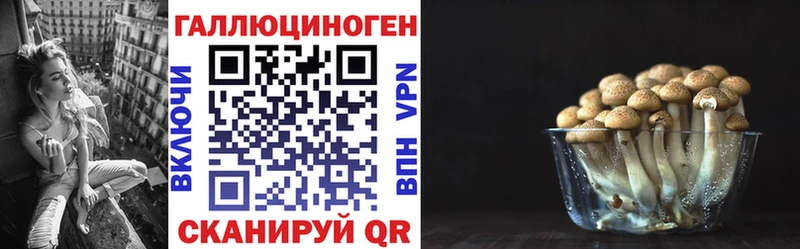 купить наркотик  Хилок  Псилоцибиновые грибы прущие грибы 